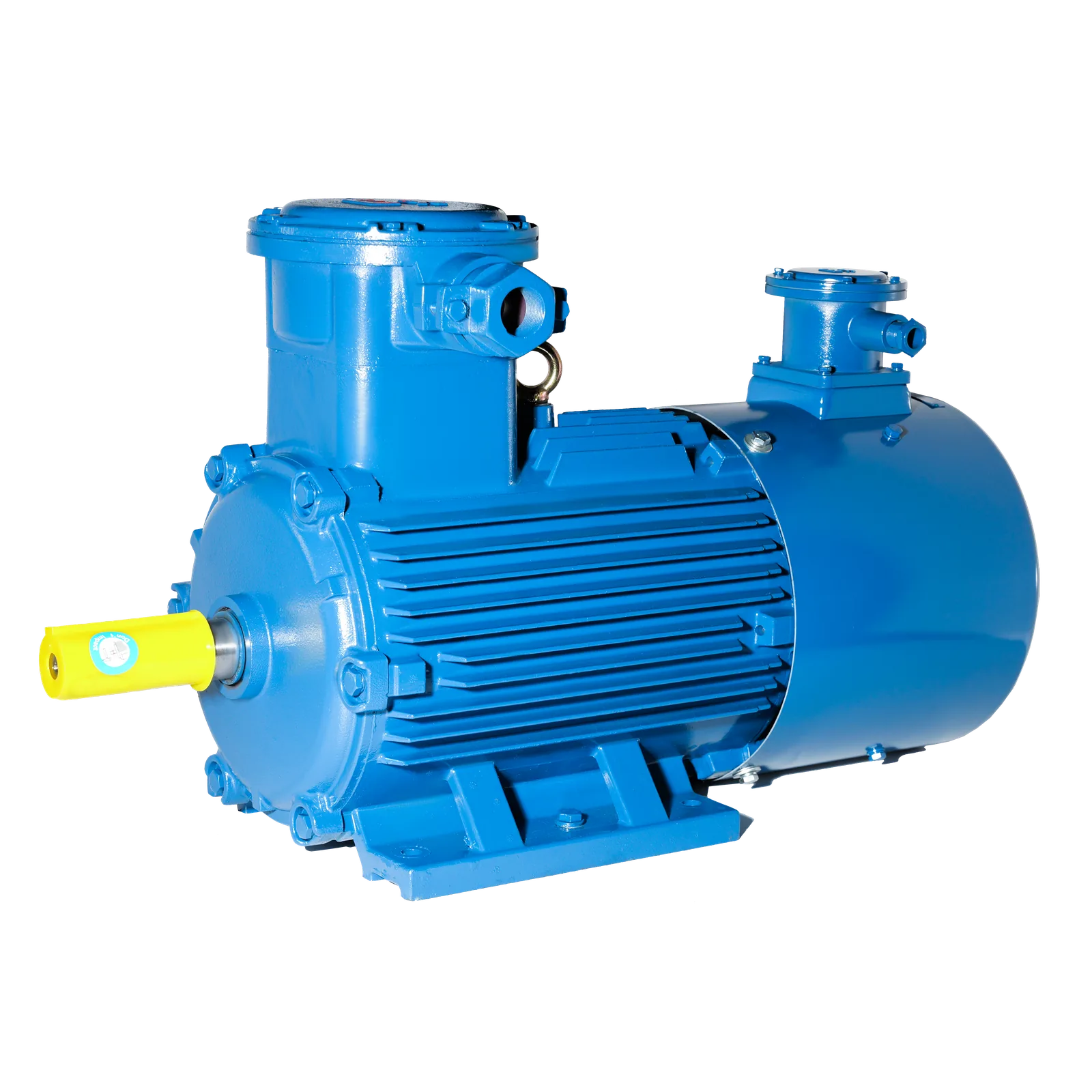 YBVF2 explosion-proof variable frequency three-phase asynchronous motor